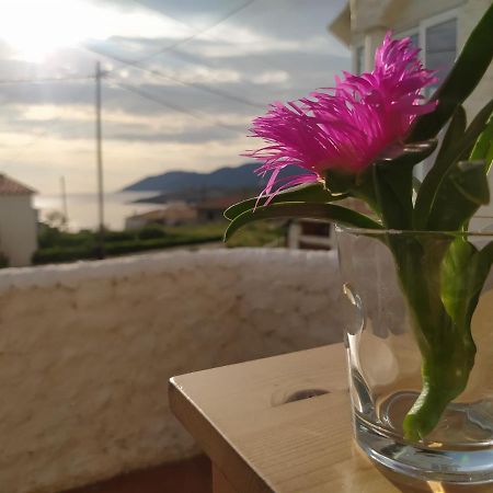 Apartament Port De La Selva El Port De La Selva Dış mekan fotoğraf