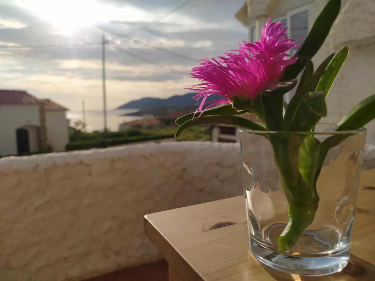 Apartament Port De La Selva El Port De La Selva Dış mekan fotoğraf